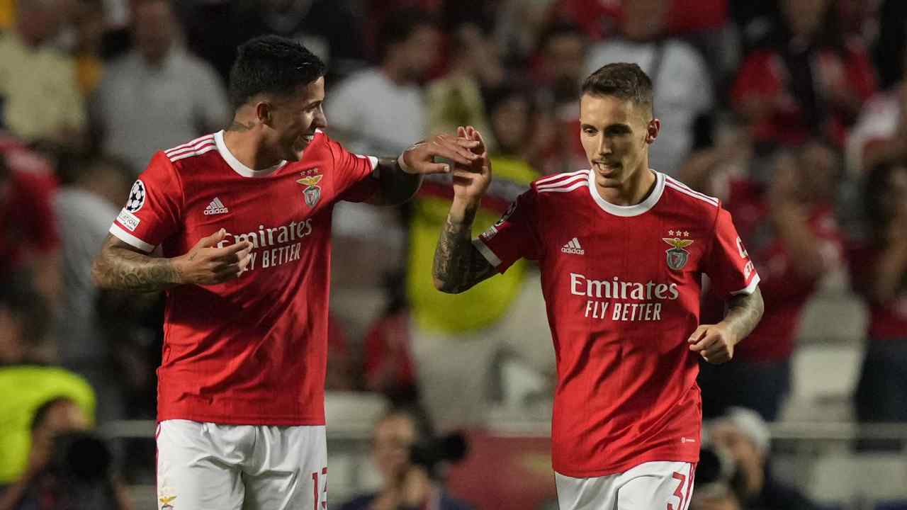 Grimaldo und Fernandez