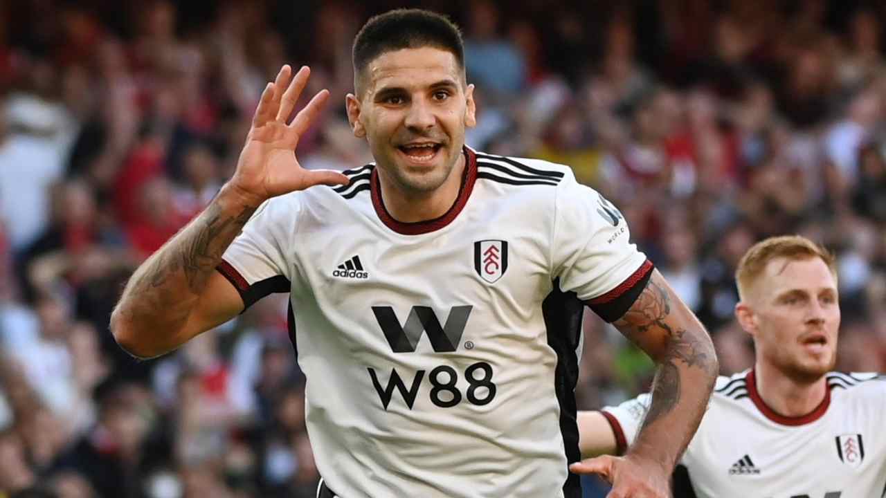 Mitrovic