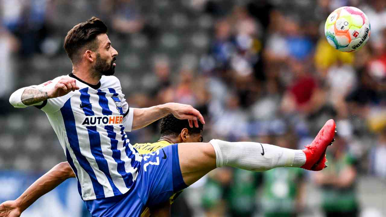 Plattenhardt de Hertha