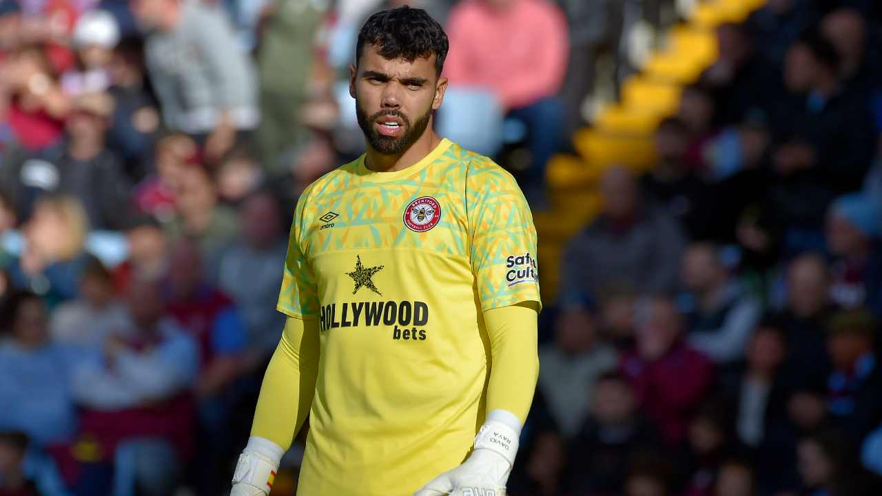 David Raya, Brentford goalkeeper