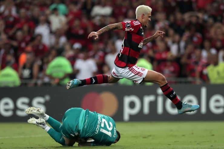 Pedro del Flamengo